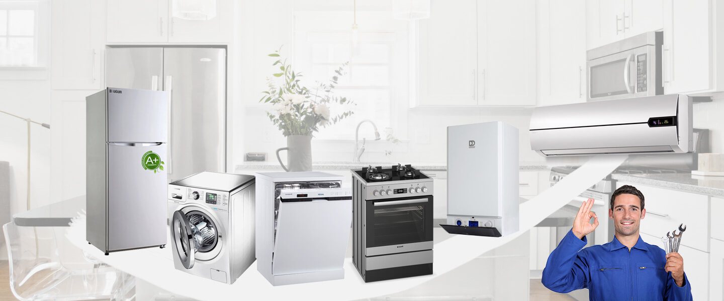 Buharkent Grundig Servisi